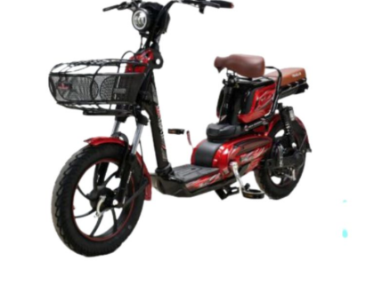 Duyên Thảo II - Địa chỉ uy tín bán xe đạp tại TPHCM