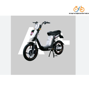 Xe đạp điện Pega Zinger +