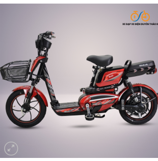 Xe đạp điện Osakar Win@ S