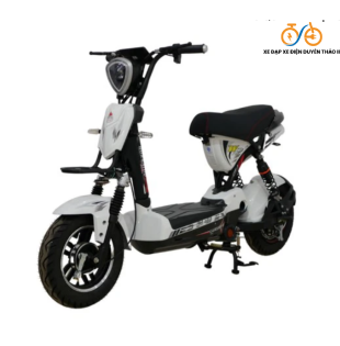 Xe Đạp Điện 133 Việt Nhật