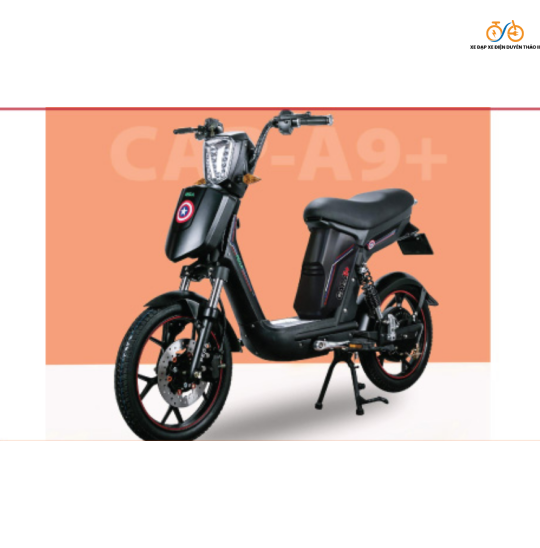 Xe đạp điện Pega Zinger +