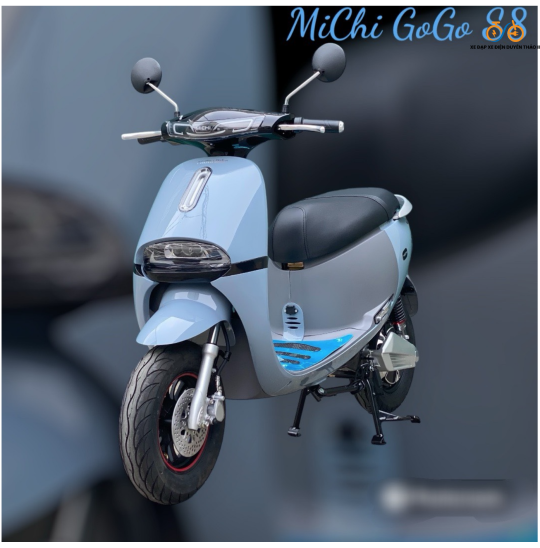 XE MÁY ĐIỆN MICHI GOGO S8